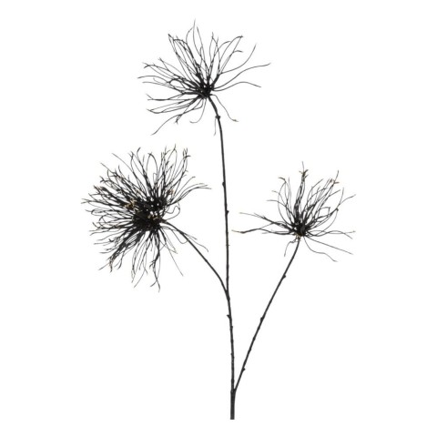 FIORE GREVILLEA NERO L.94